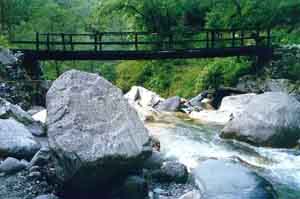 stream near Bewara
